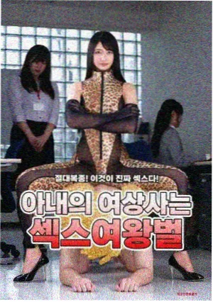 山脊线条目封面
